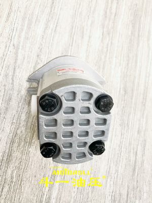 HITACHI EX200-1 EX300 পাইলট হাইড্রোলিক গিয়ার পাম্প 4181700 9217993 4181700